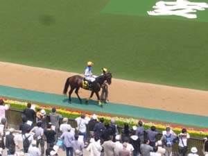 2008/06/07・3回東京5日目　3R　3歳未勝利（若手）　in東京競馬場