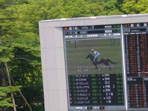 2008/06/07・3回東京5日目　3R　3歳未勝利（若手）　in東京競馬場