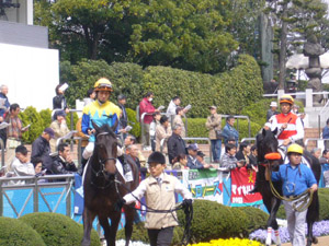 2009/04/05・3回中山4日目　2R　3歳未勝利　in中山競馬場