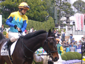 2009/04/05・3回中山4日目　2R　3歳未勝利　in中山競馬場
