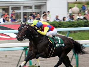 2009/08/30・2回札幌10日目　9R　キーンランドC（G3）　in札幌競馬場