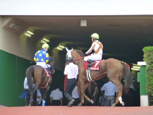 2012/08/19・2回札幌2日目　11R　札幌記念（G2）　in札幌競馬場