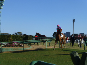 2012/12/16・5回中山6日目　in中山競馬場