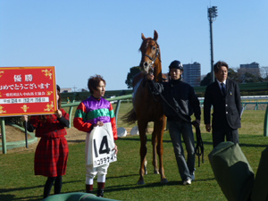 2012/12/16・5回中山6日目　in中山競馬場