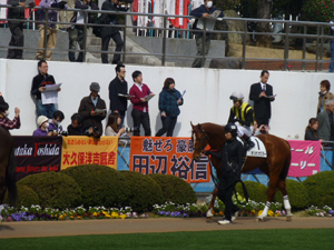 2013/03/10・2回中山6日目　in中山競馬場