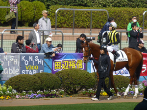 2013/03/10・2回中山6日目　in中山競馬場