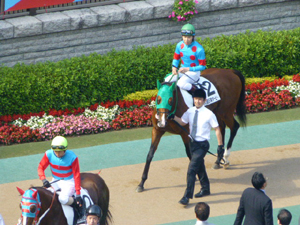 2013/05/26・2回東京12日目　in東京競馬場