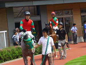 2013/07/27・2回新潟1日目　in新潟競馬場