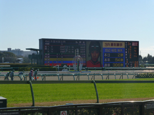 2013/12/15・5回中山6日目　in中山競馬場
