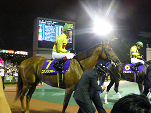 2014/06/25・大井12R　帝王賞（JpnＩ）　in大井競馬場・02