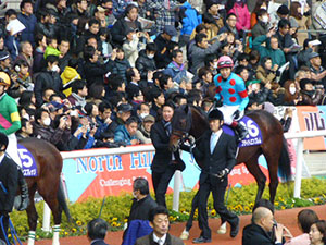 2014/12/21・5回阪神6日目　in阪神競馬場・03