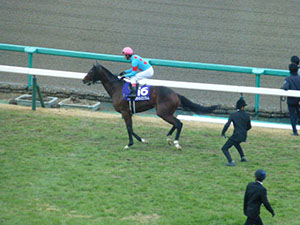 2014/12/21・5回阪神6日目　in阪神競馬場・04