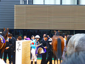 2015/04/19・3回中山8日目　in中山競馬場・04