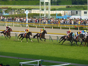 2018/05/27・東京優駿（G1）　in東京競馬場・04