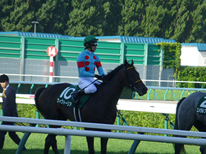 2018/09/01・札幌2歳S（G3）in札幌競馬場・02