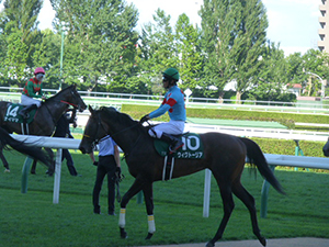 2018/09/01・札幌2歳S（G3）in札幌競馬場・03